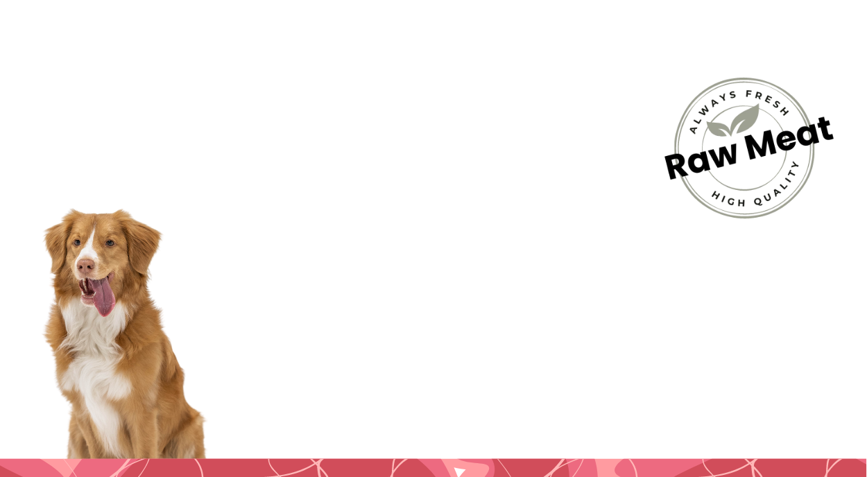 dog blog banner