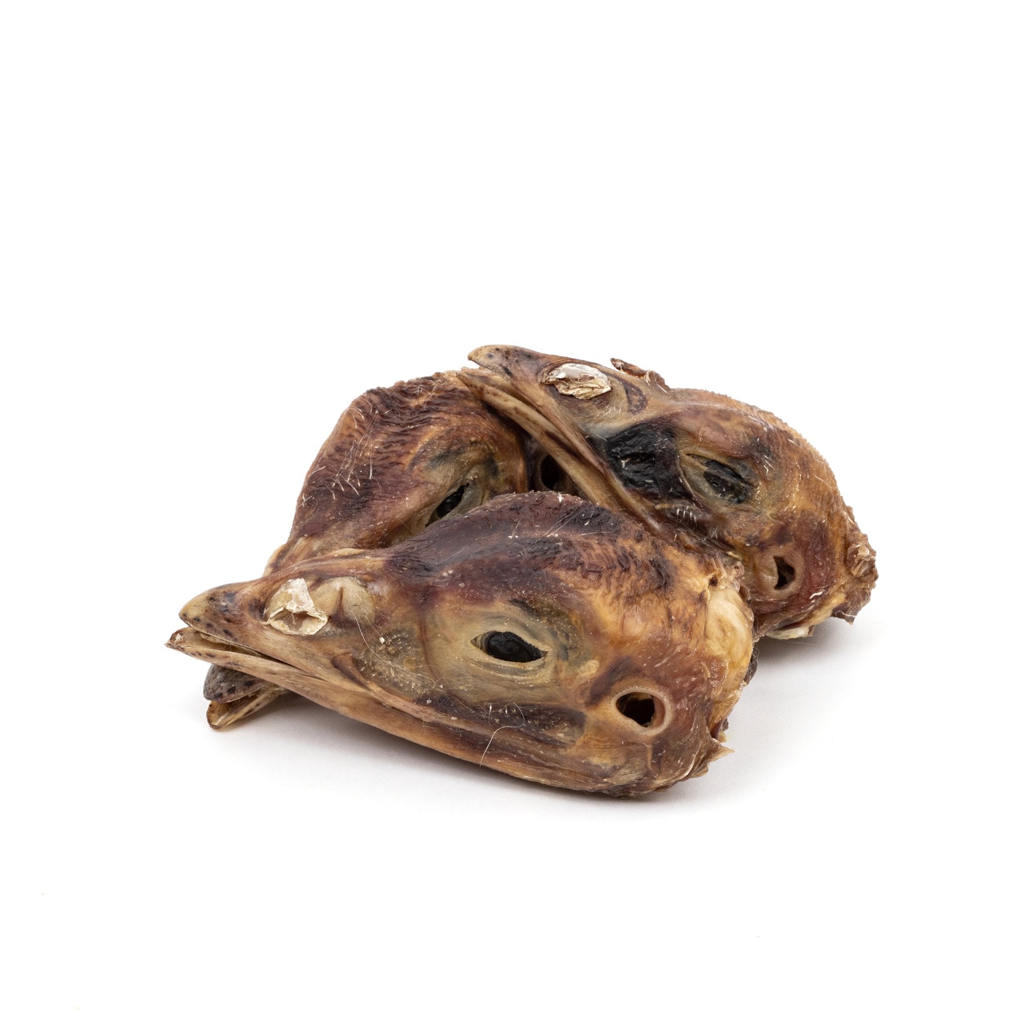 Dried Turkey Head - ALPHADOGDISTRIBUTION