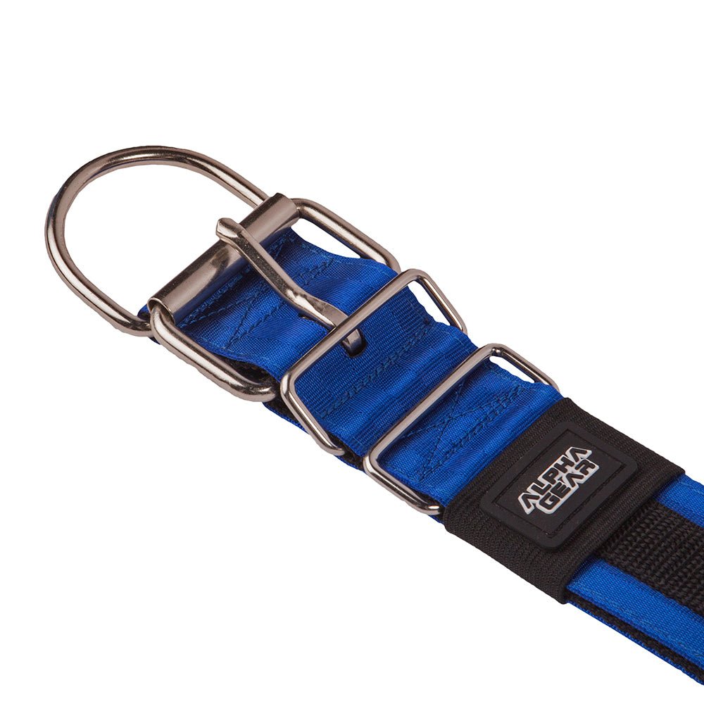 Heavy Duty Nylon Dog Collars - Large / XL - ALPHADOGDISTRIBUTION