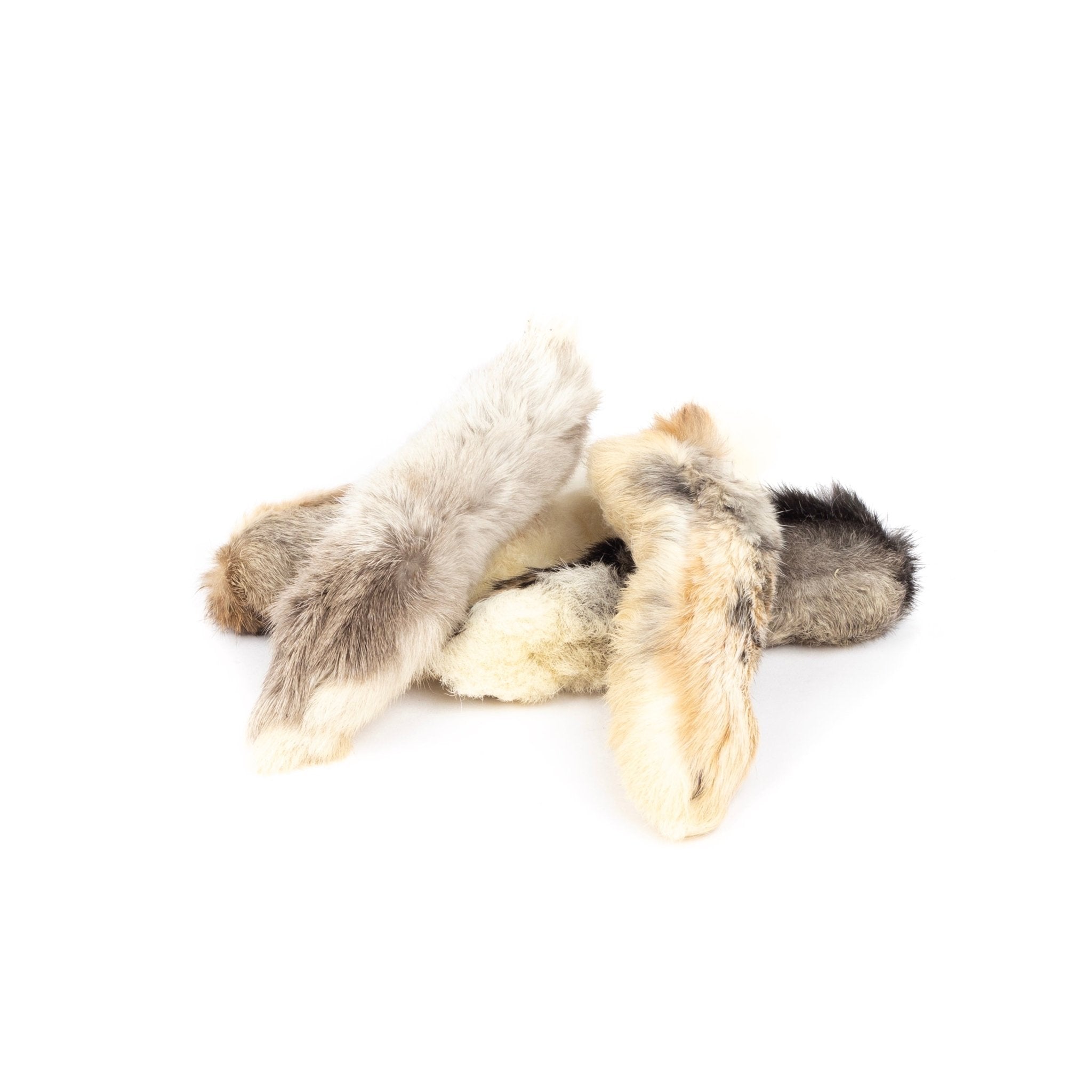 Rabbit Foot - ALPHADOGDISTRIBUTION