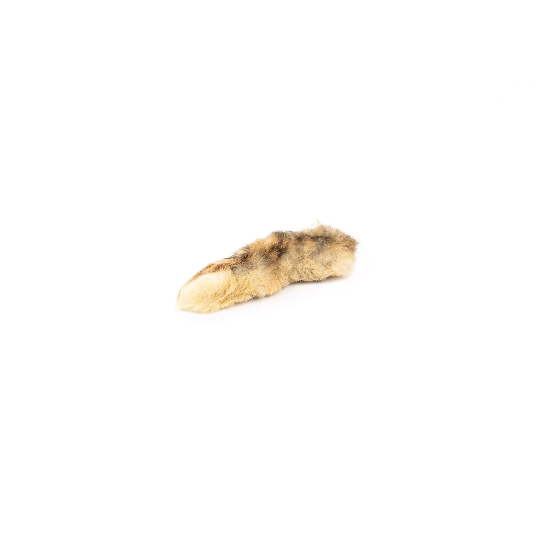 Rabbit Foot - ALPHADOGDISTRIBUTION