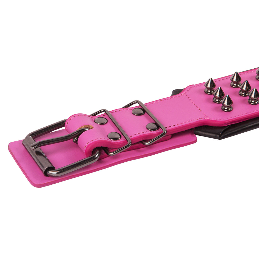 Leather Studded Dog Collar - XL - ALPHADOGDISTRIBUTION