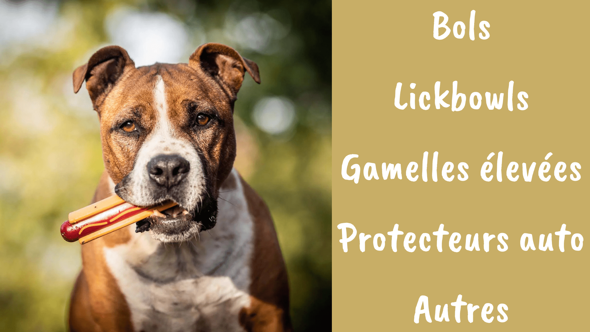 Dog accessories - Alpha Dog Distribution