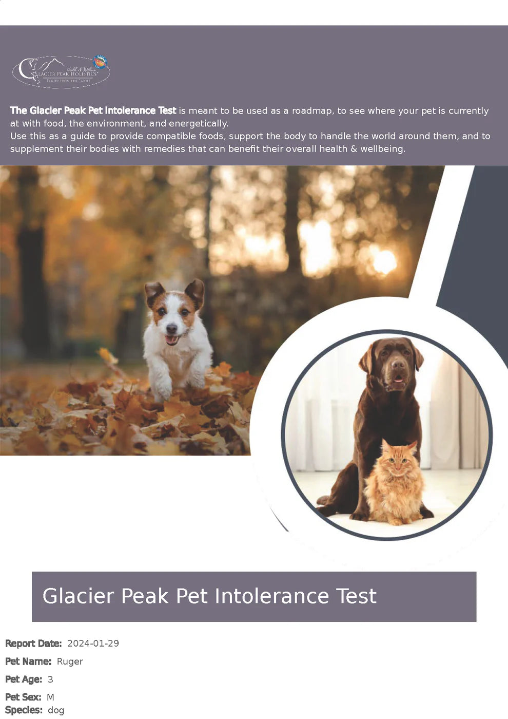 Pet Intolerance Test