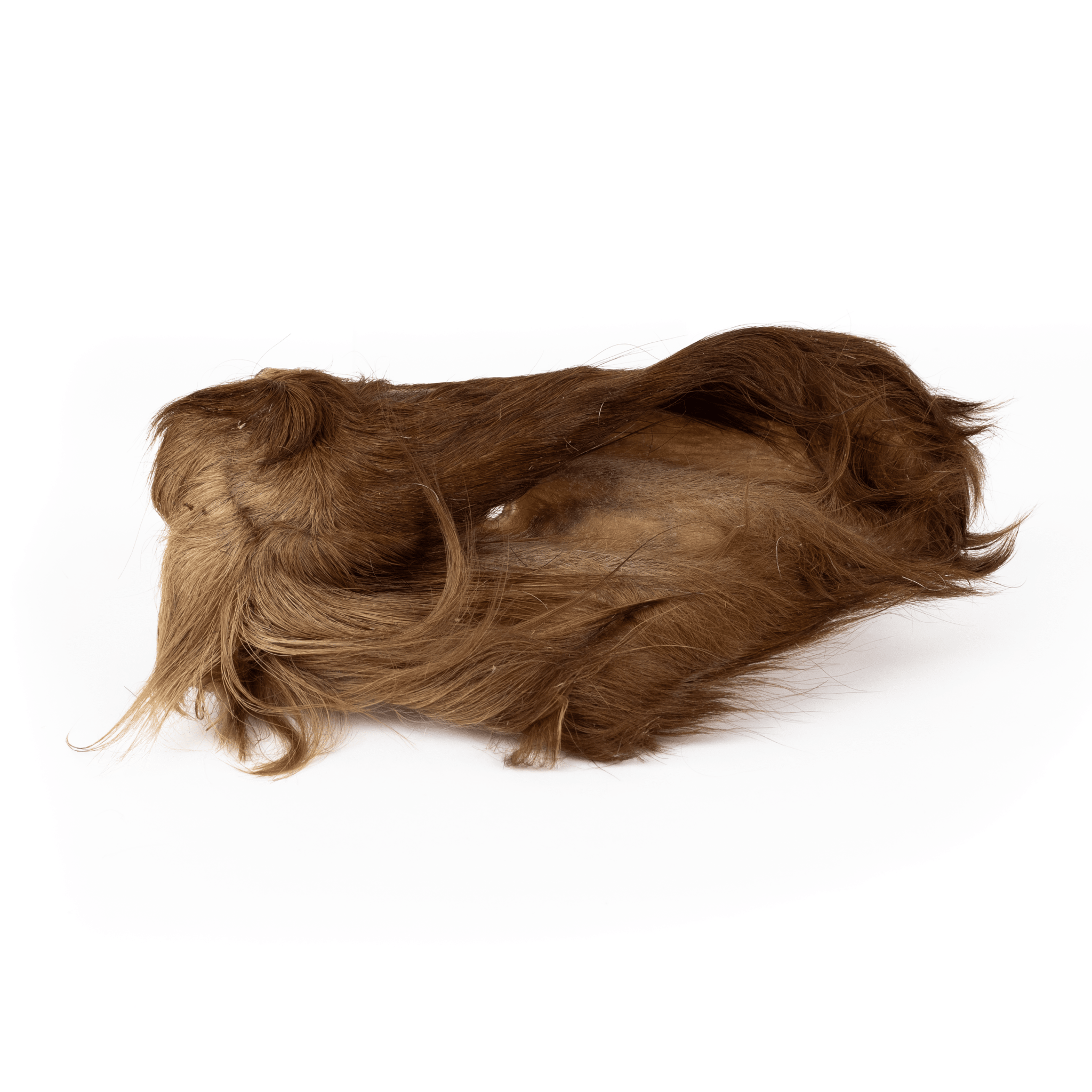 Beef Ear with Fur (Dehydrated) - Alpha Dog Distribution
