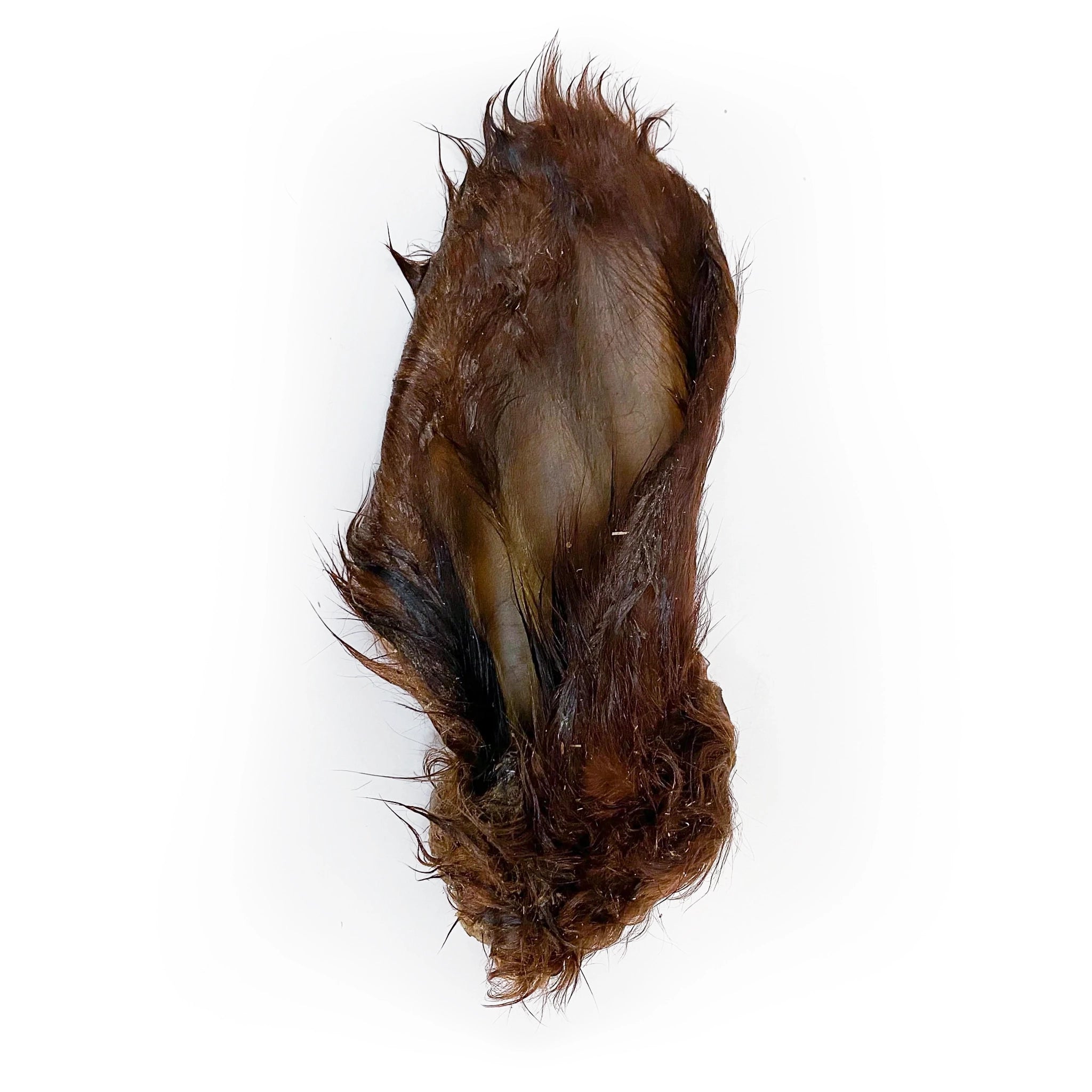 Beef Ear with Fur (Dehydrated) - ALPHADOGDISTRIBUTION