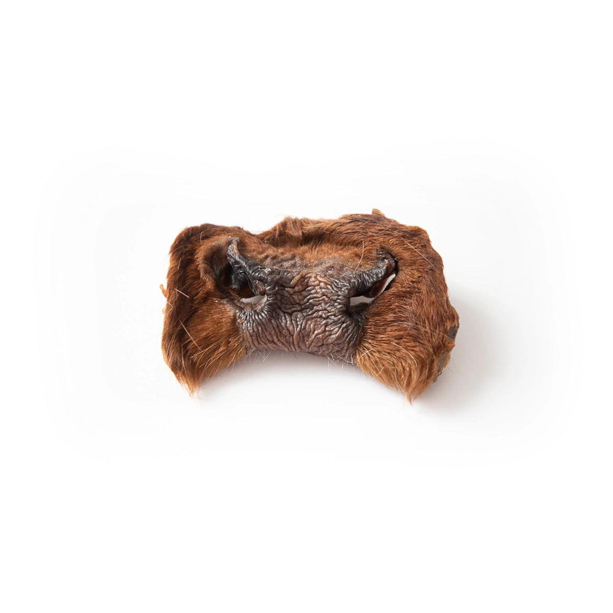 Dried Beef Snout