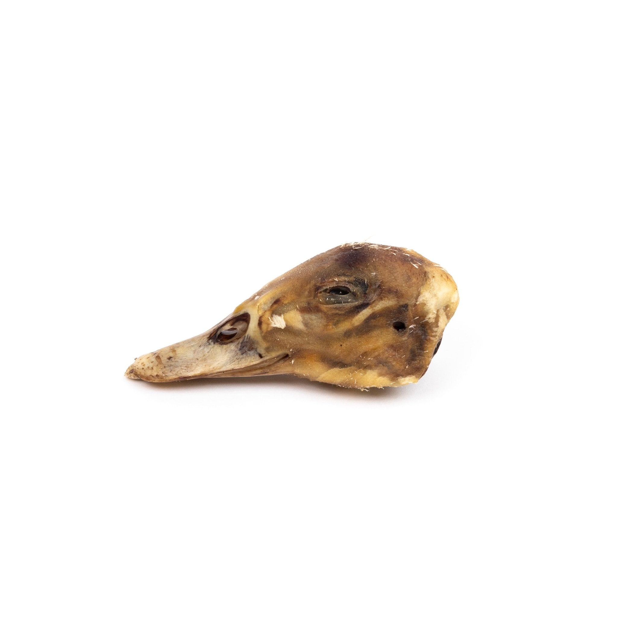 Dried Duck Head - Alpha Dog Distribution