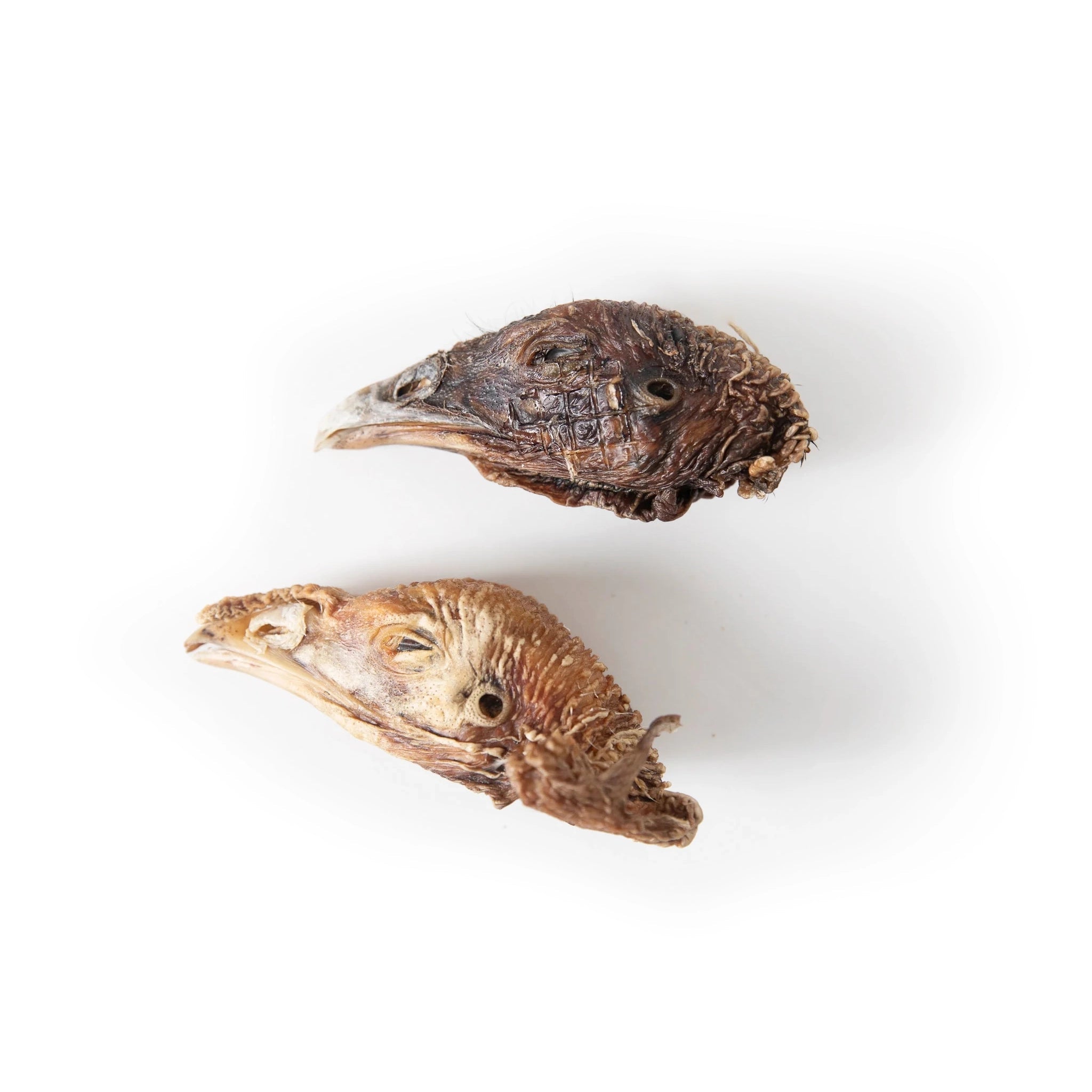 Dried Turkey Head - ALPHADOGDISTRIBUTION