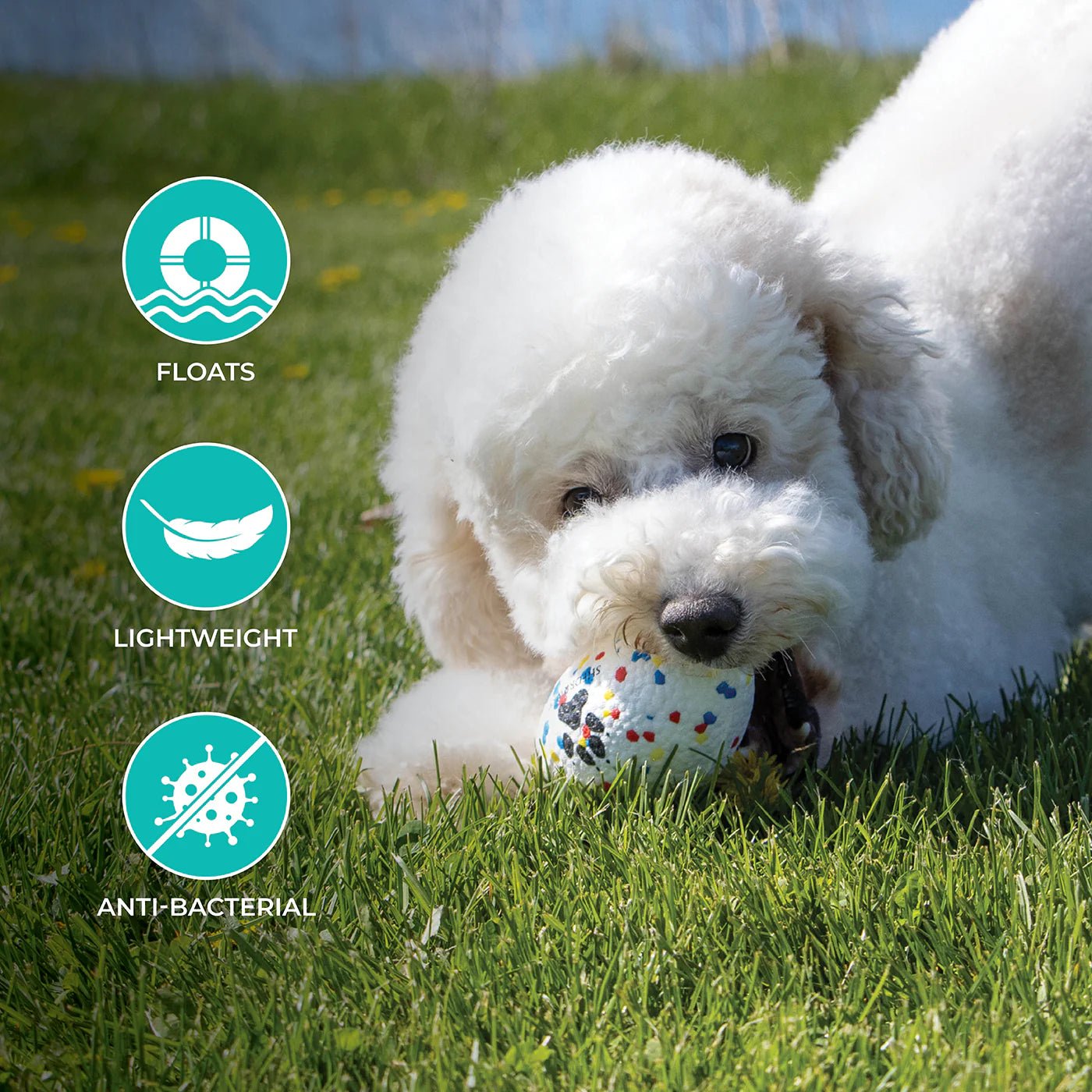 FlexiPlay Football - ALPHADOGDISTRIBUTION