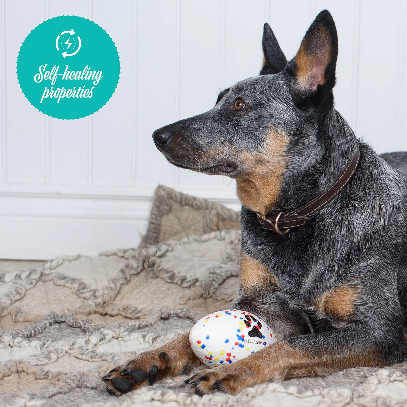 FlexiPlay Football - ALPHADOGDISTRIBUTION