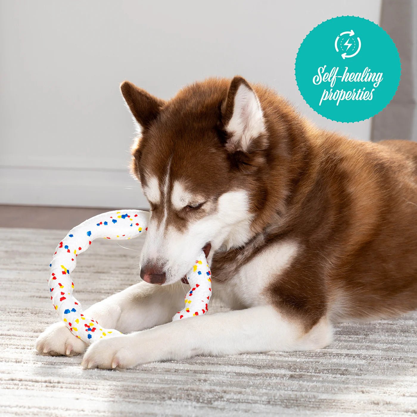 FlexiPlay Tug Ring - ALPHADOGDISTRIBUTION