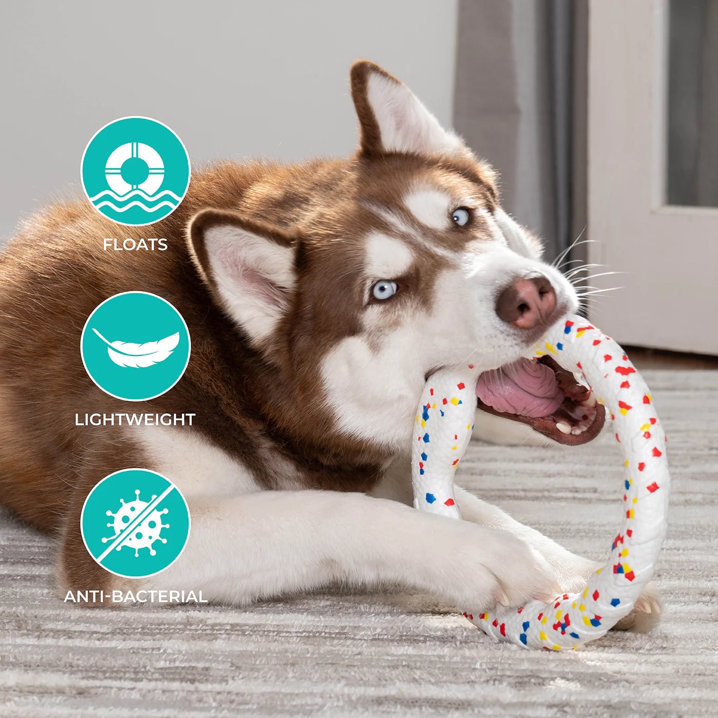 FlexiPlay Tug Ring - ALPHADOGDISTRIBUTION