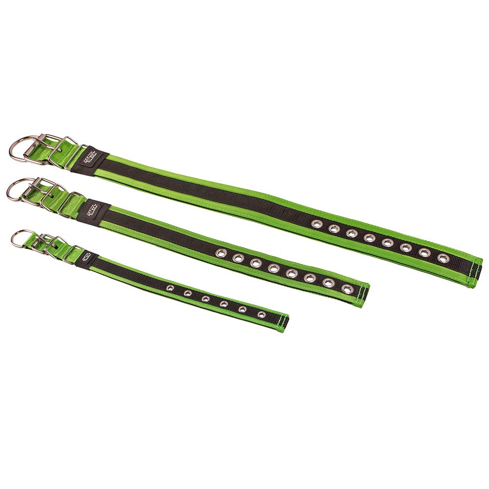 Heavy Duty Nylon Dog Collars - Large / XL - ALPHADOGDISTRIBUTION