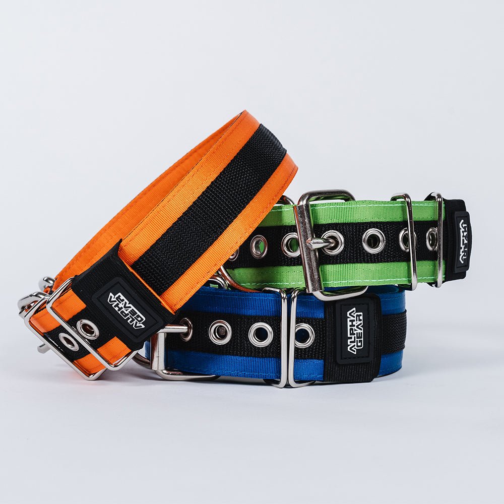 Heavy Duty Nylon Dog Collars - Large / XL - ALPHADOGDISTRIBUTION