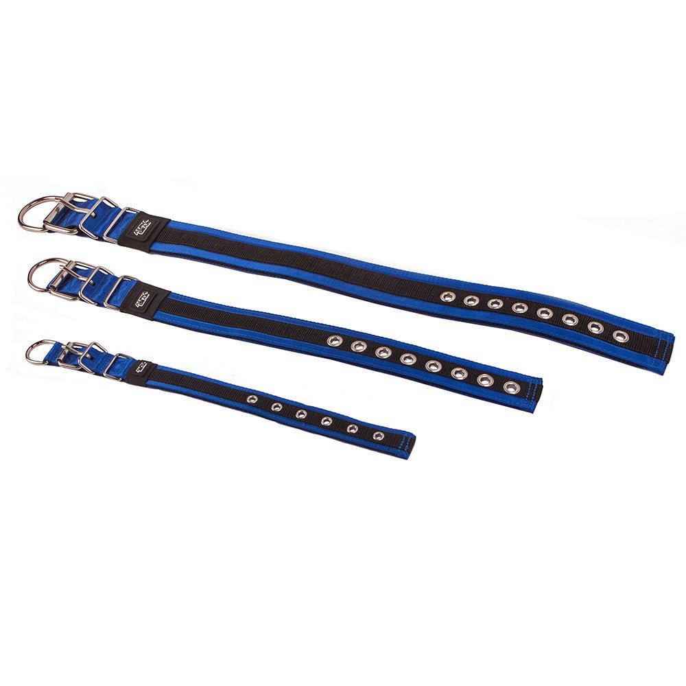 Heavy Duty Nylon Dog Collars - Large / XL - ALPHADOGDISTRIBUTION