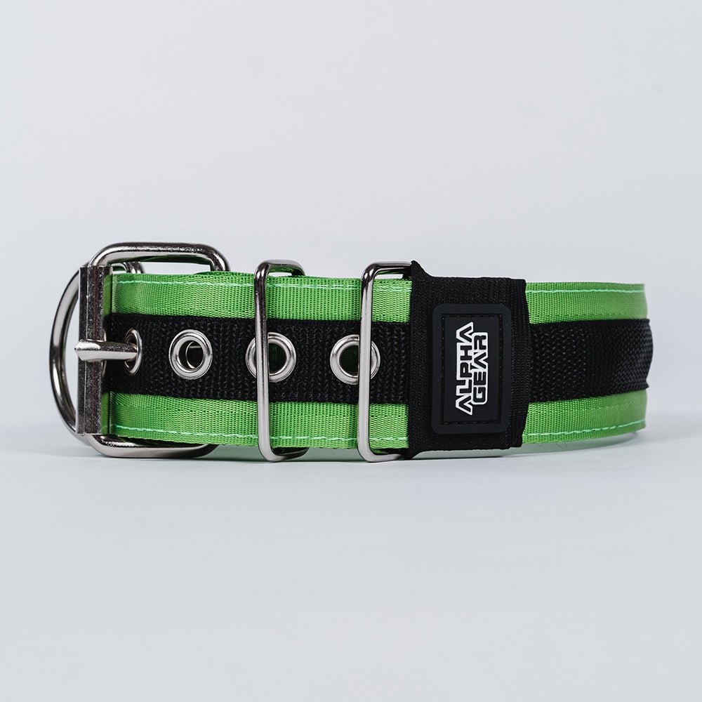 Heavy Duty Nylon Dog Collars - Large / XL - ALPHADOGDISTRIBUTION