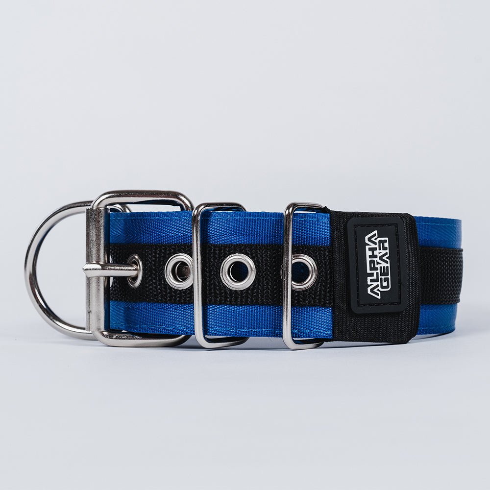 Heavy Duty Nylon Dog Collars - Large / XL - ALPHADOGDISTRIBUTION