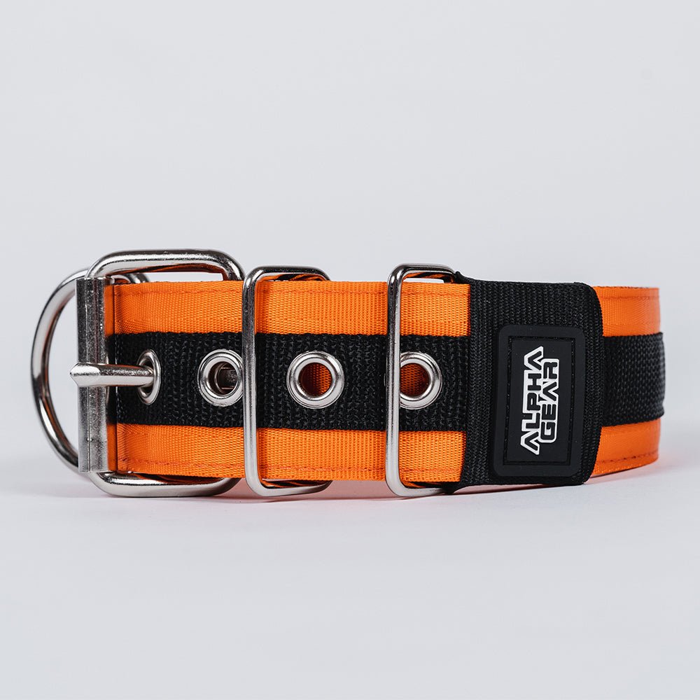 Heavy Duty Nylon Dog Collars - Large / XL - ALPHADOGDISTRIBUTION