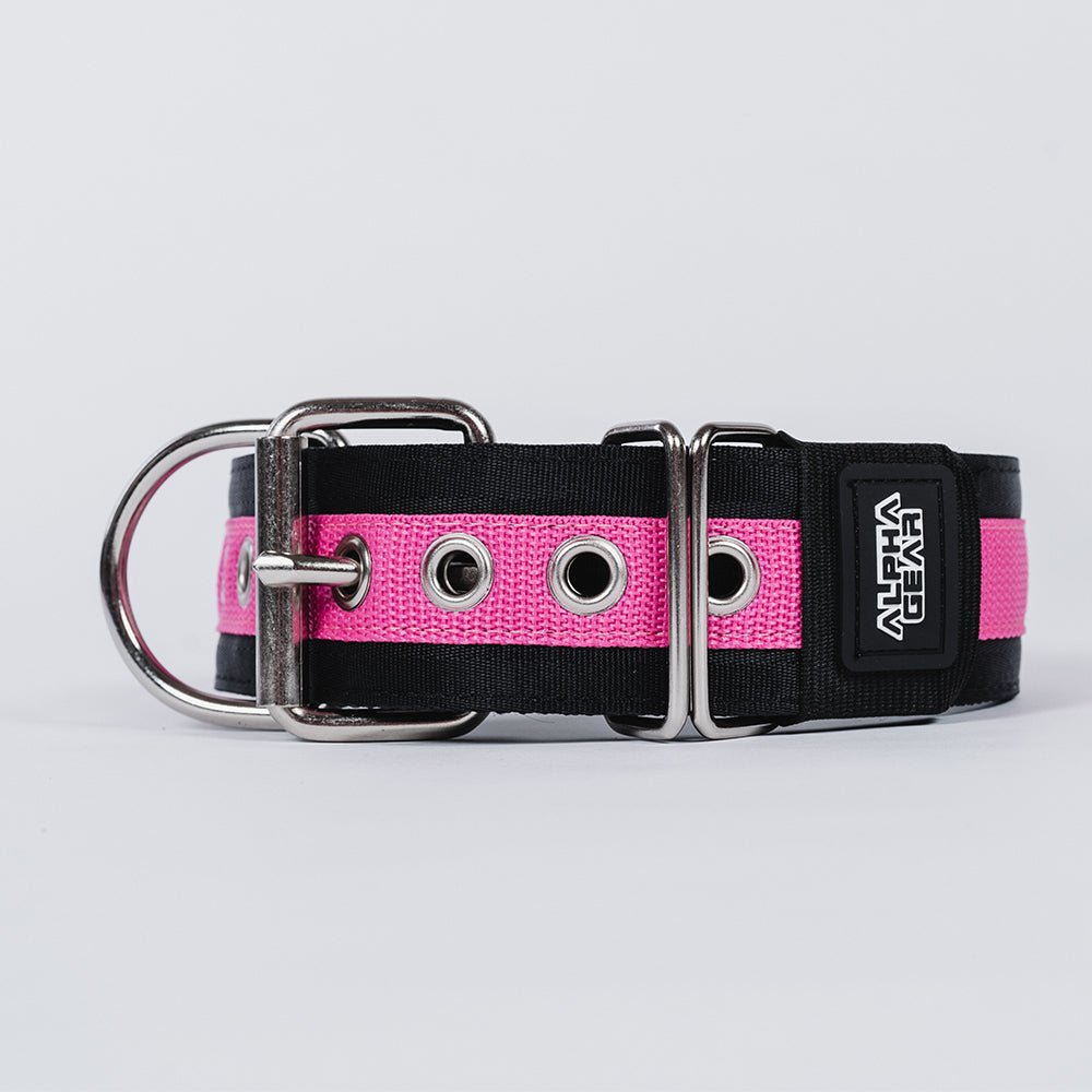 Heavy Duty Nylon Dog Collars - Large / XL - ALPHADOGDISTRIBUTION