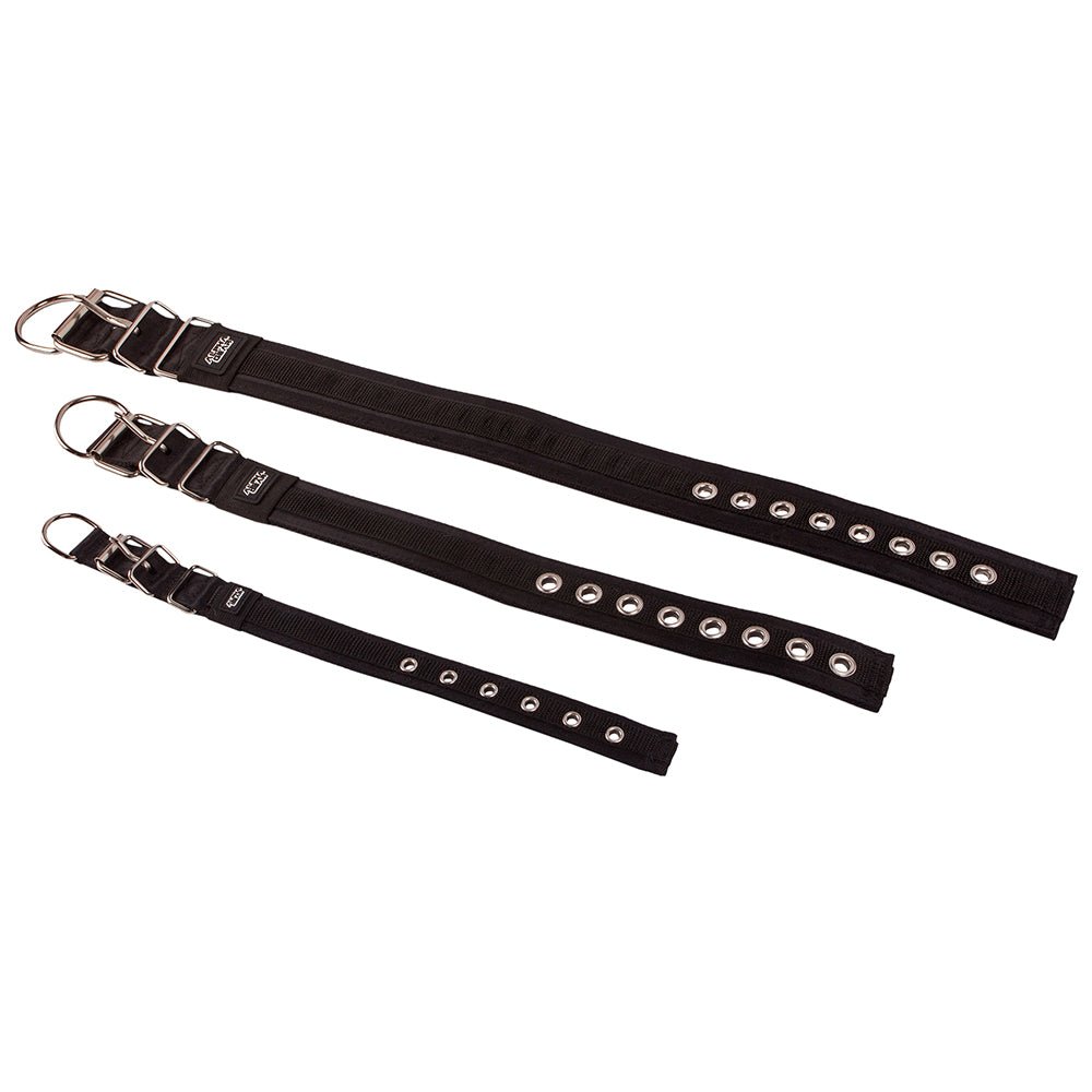 Heavy Duty Nylon Dog Collars - Large / XL - ALPHADOGDISTRIBUTION