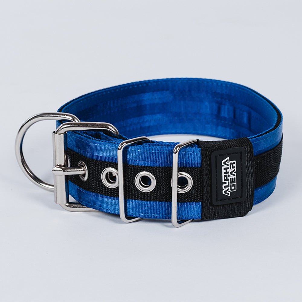 Heavy Duty Nylon Dog Collars - Large / XL - ALPHADOGDISTRIBUTION