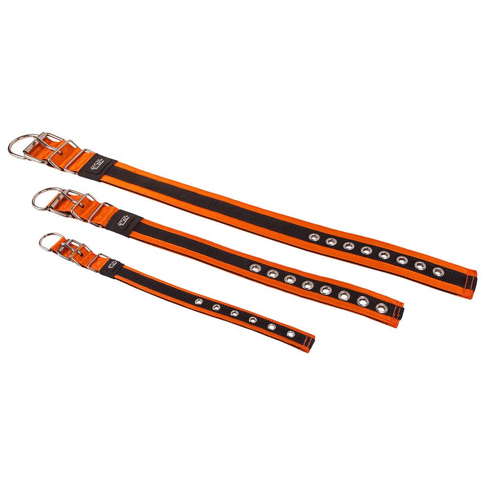 Heavy Duty Nylon Dog Collars - Large / XL - ALPHADOGDISTRIBUTION