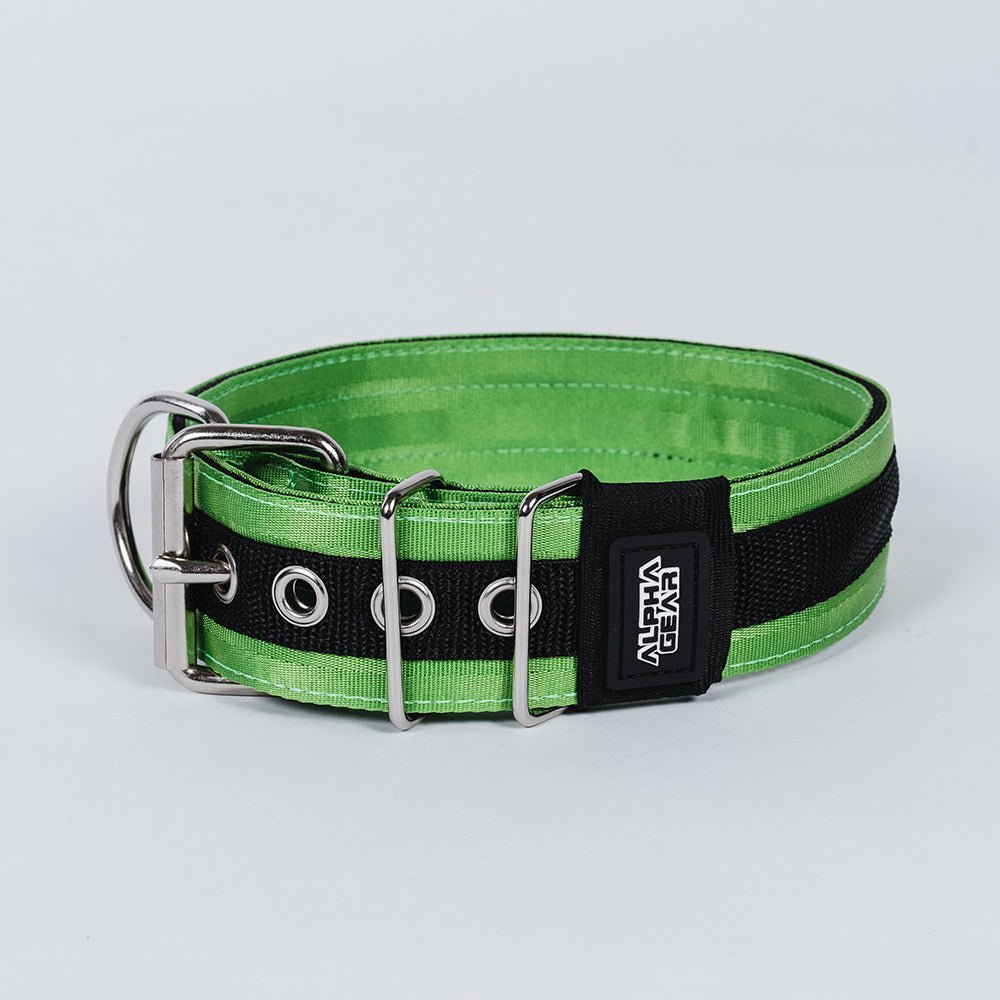 Heavy Duty Nylon Dog Collars - Large / XL - ALPHADOGDISTRIBUTION