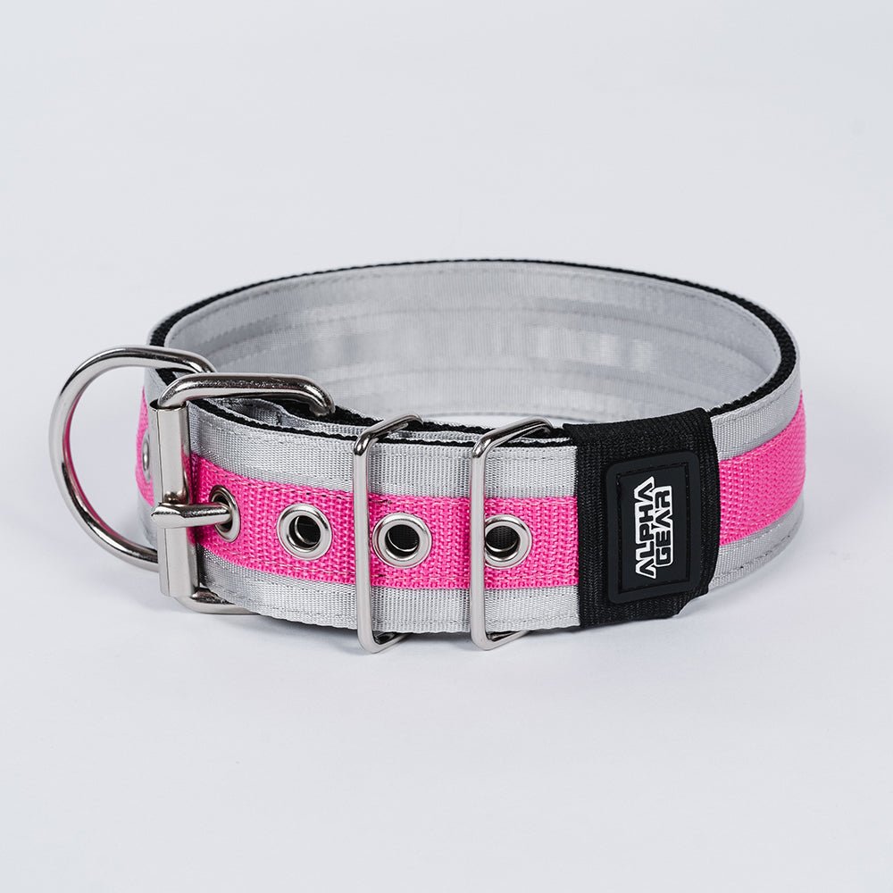 Heavy Duty Nylon Dog Collars - Medium / Large - ALPHADOGDISTRIBUTION