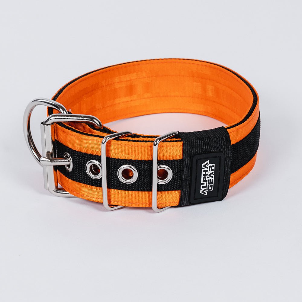 Heavy Duty Nylon Dog Collars - Medium / Large - ALPHADOGDISTRIBUTION