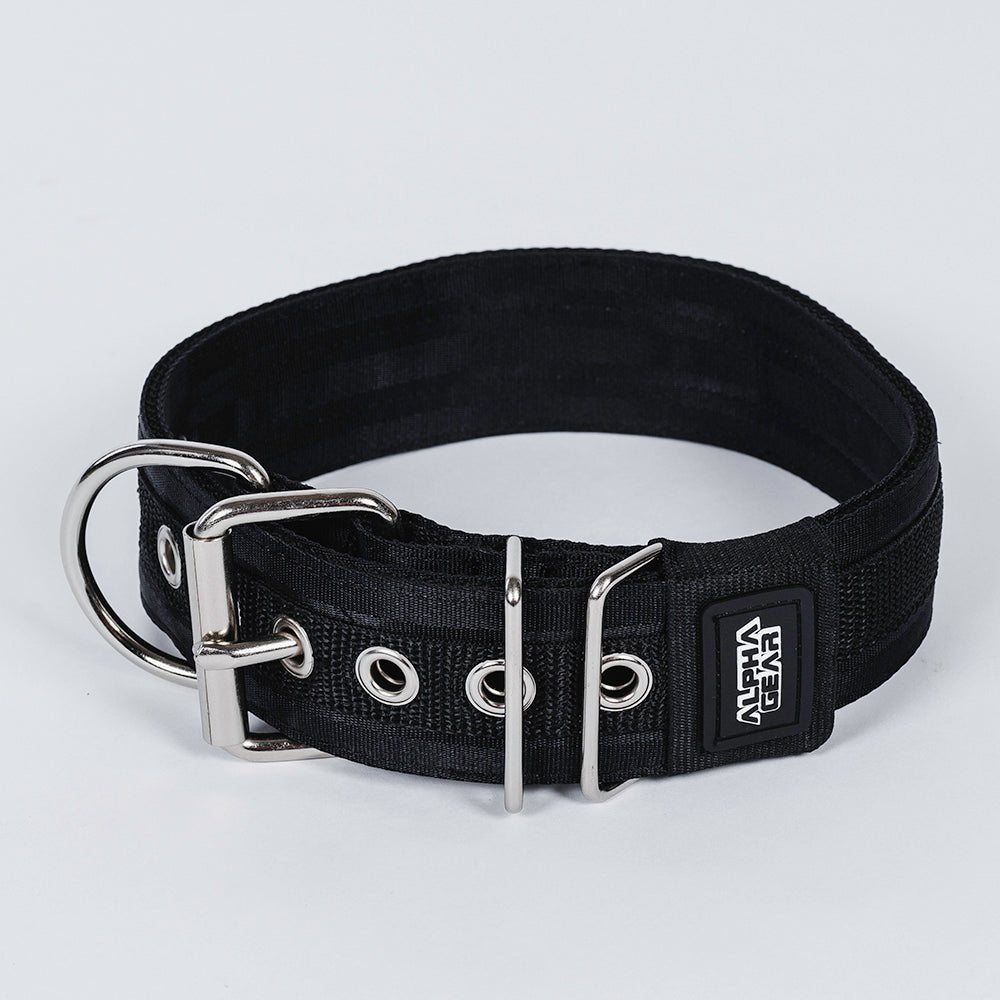 Heavy Duty Nylon Dog Collars - XS / Small - ALPHADOGDISTRIBUTION