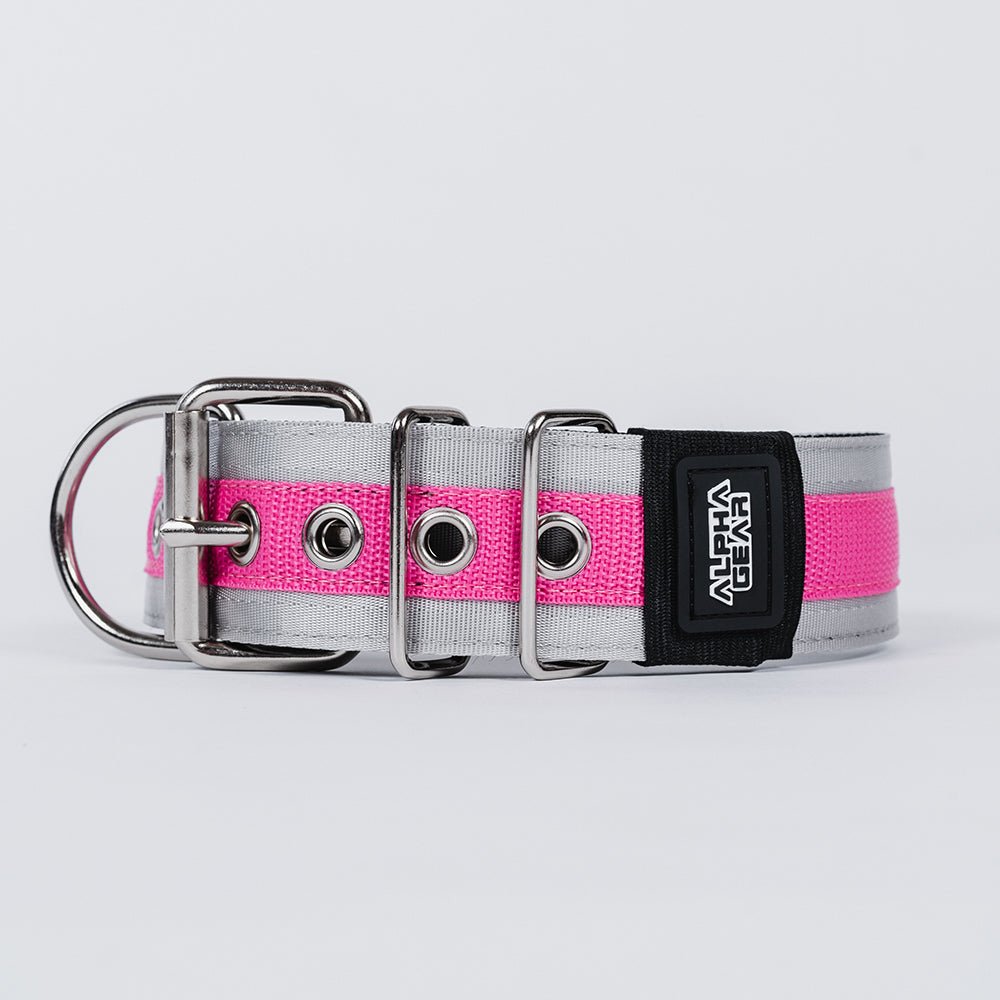 Heavy Duty Nylon Dog Collars - XS / Small - ALPHADOGDISTRIBUTION