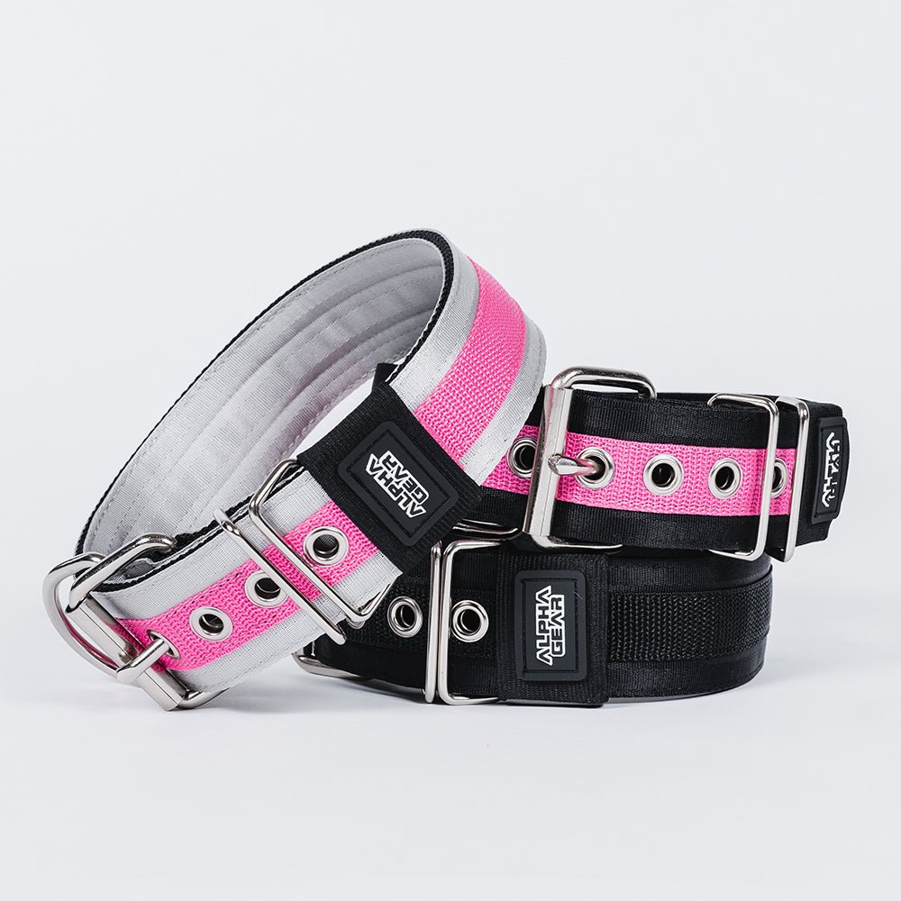 Heavy Duty Nylon Dog Collars - XS / Small - ALPHADOGDISTRIBUTION