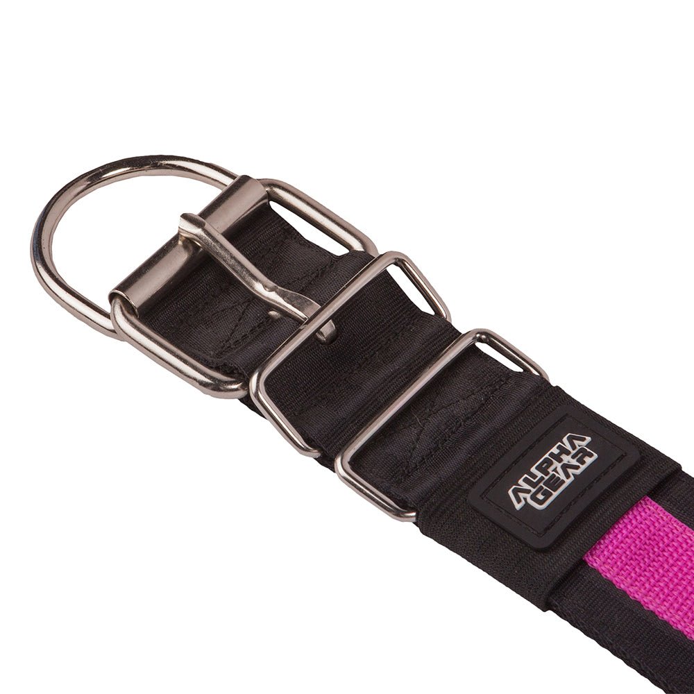 Heavy Duty Nylon Dog Collars - XS / Small - ALPHADOGDISTRIBUTION