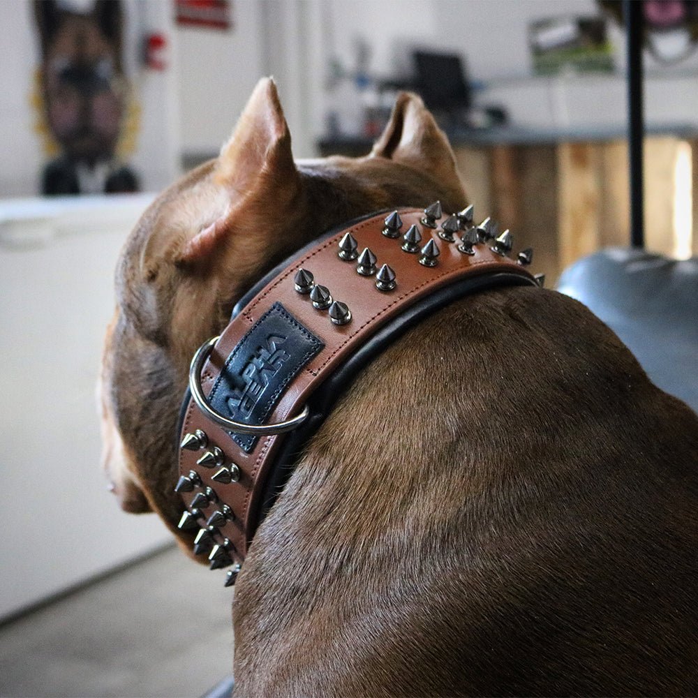 Leather Studded Dog Collar - 2XL - ALPHADOGDISTRIBUTION