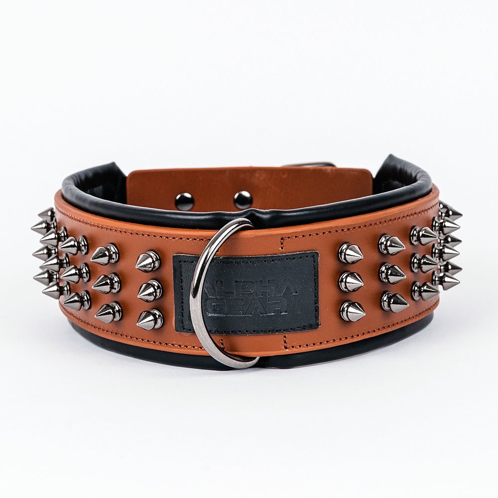 Leather Studded Dog Collar - 2XL - ALPHADOGDISTRIBUTION