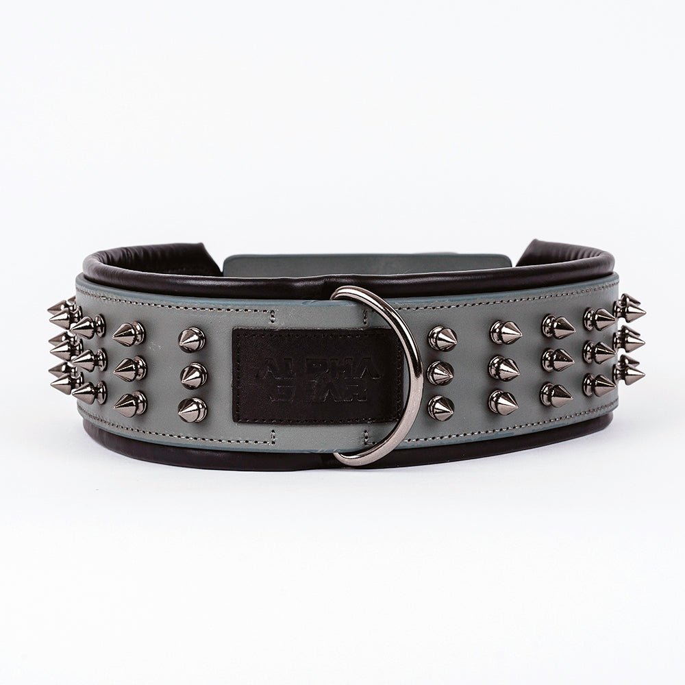 Leather Studded Dog Collar - 2XL - ALPHADOGDISTRIBUTION