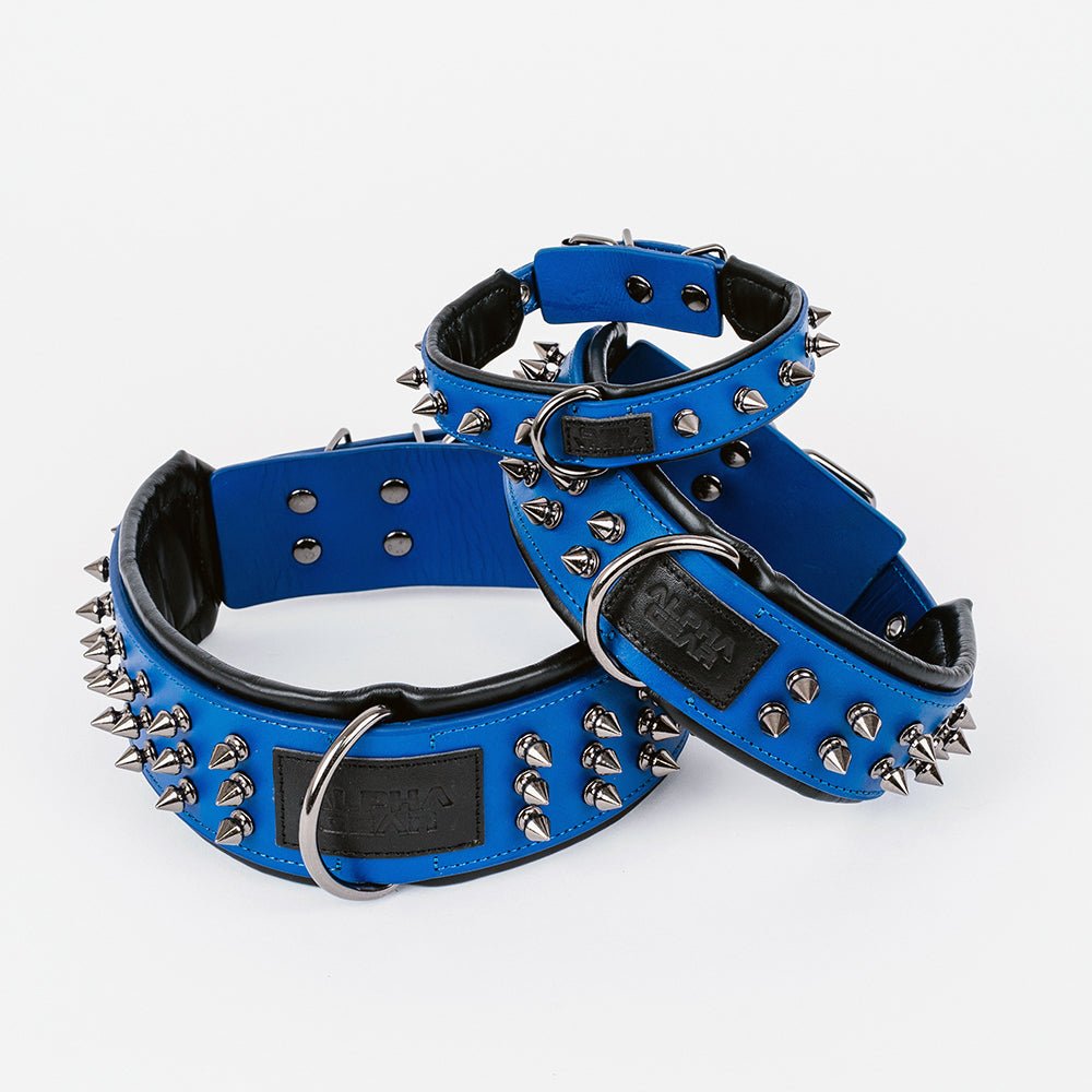 Leather Studded Dog Collar - 2XL - ALPHADOGDISTRIBUTION