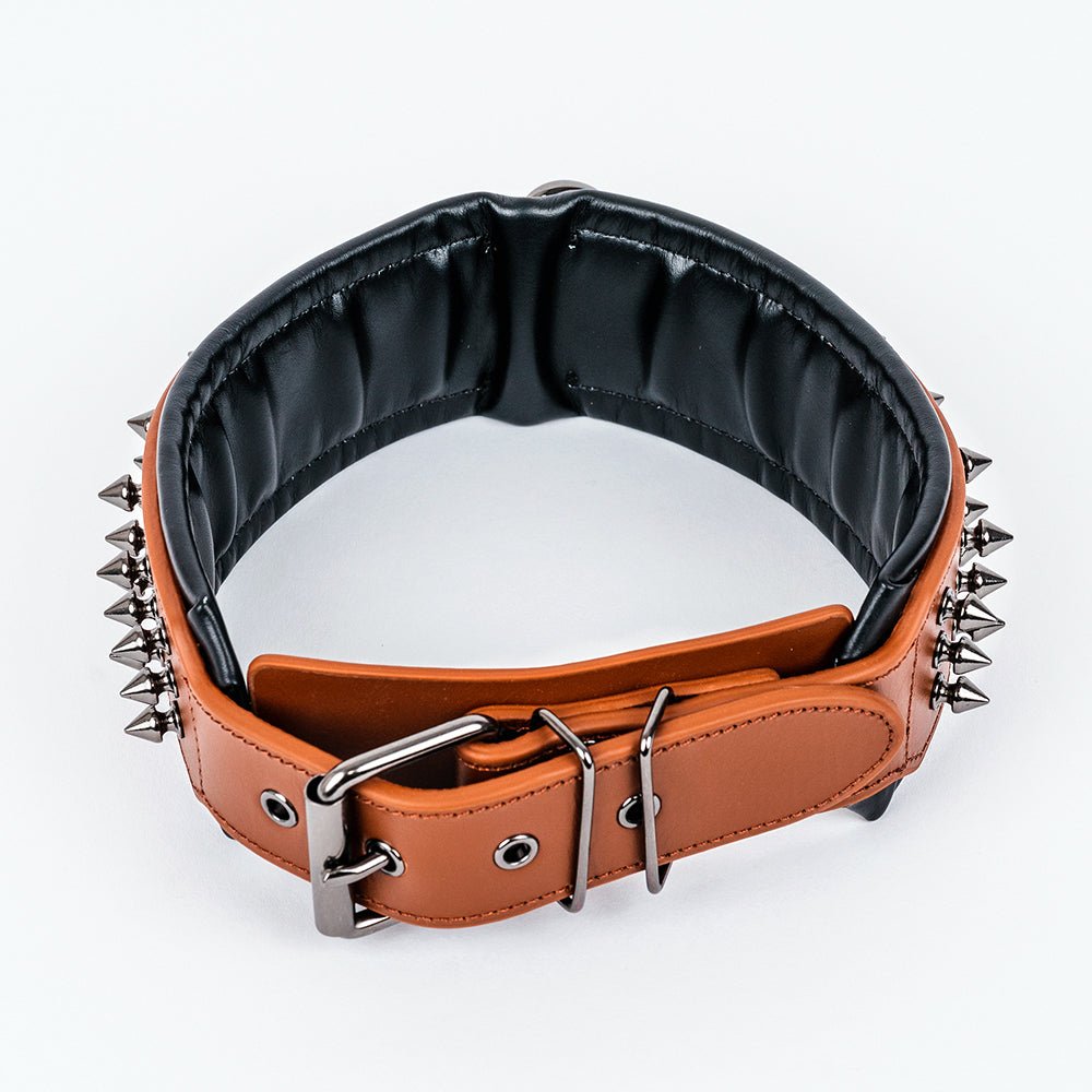 Leather Studded Dog Collar - 2XL - ALPHADOGDISTRIBUTION