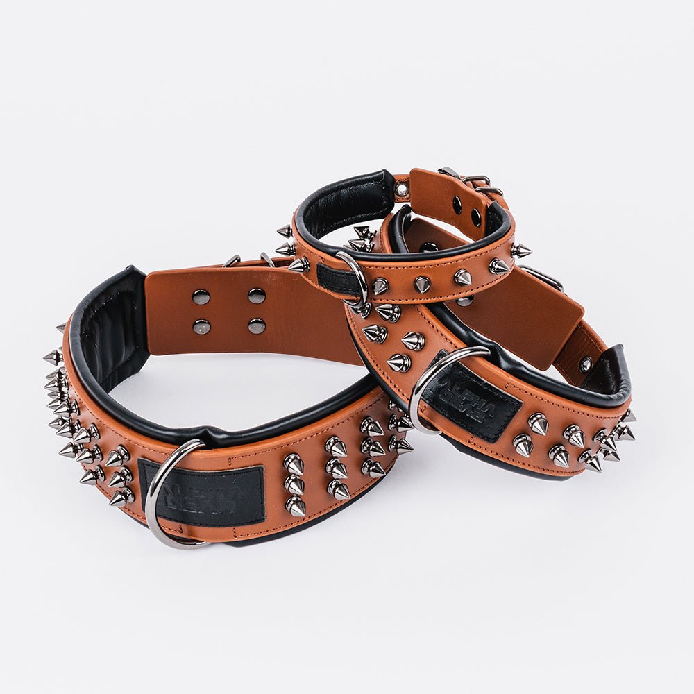 Leather Studded Dog Collar - 2XL - ALPHADOGDISTRIBUTION