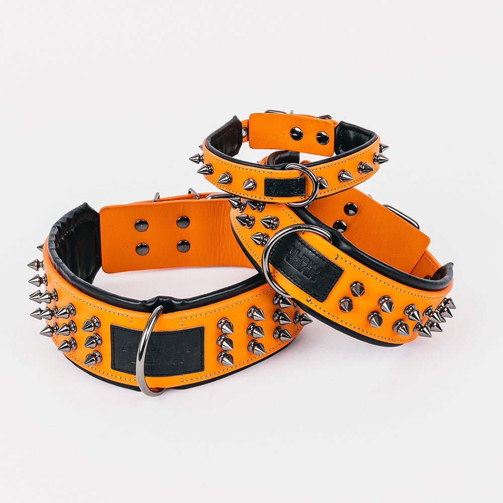 Leather Studded Dog Collar - 2XL - ALPHADOGDISTRIBUTION