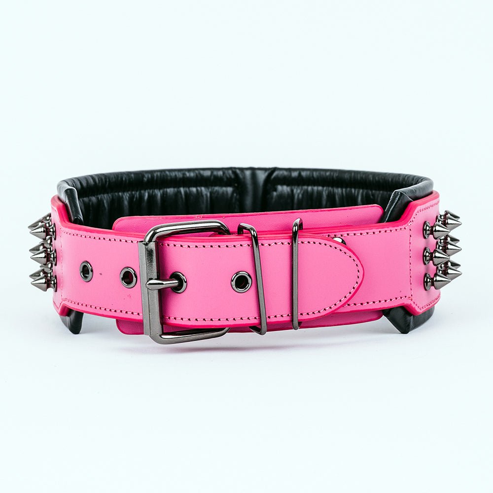 Leather Studded Dog Collar - 2XL - ALPHADOGDISTRIBUTION