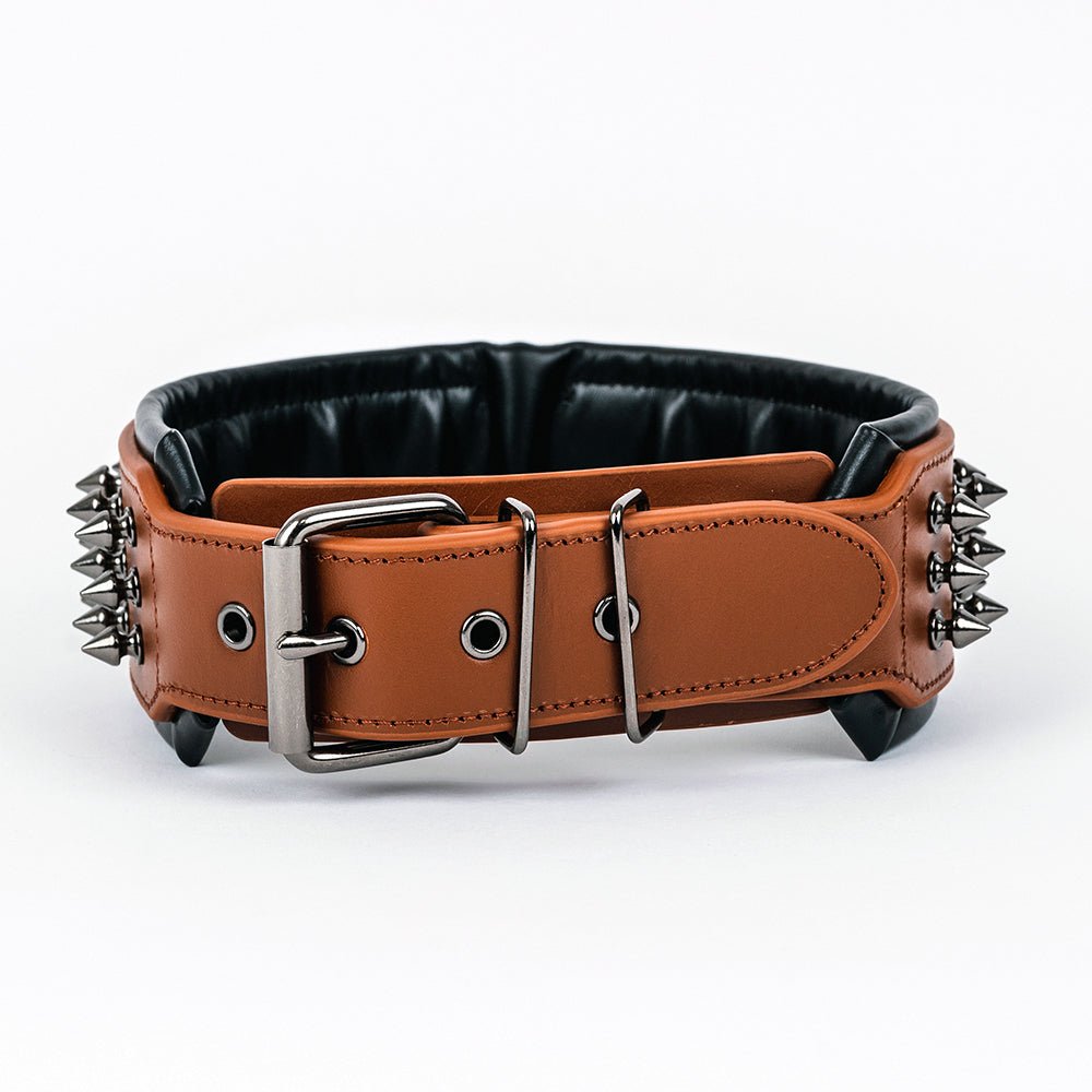 Leather Studded Dog Collar - 2XL - ALPHADOGDISTRIBUTION