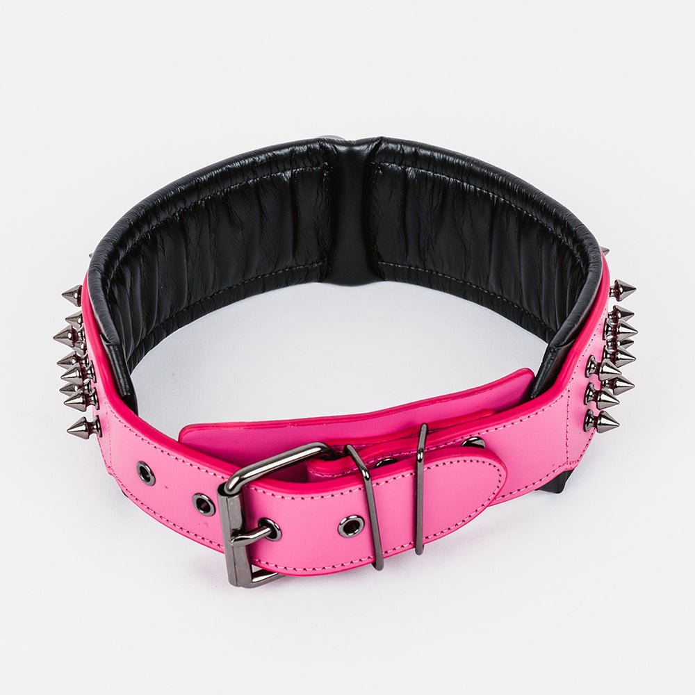 Leather Studded Dog Collar - 2XL - ALPHADOGDISTRIBUTION