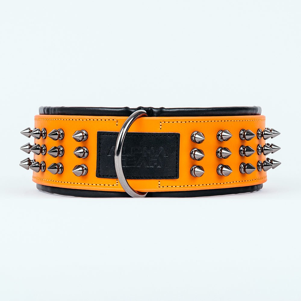 Leather Studded Dog Collar - 2XL - ALPHADOGDISTRIBUTION