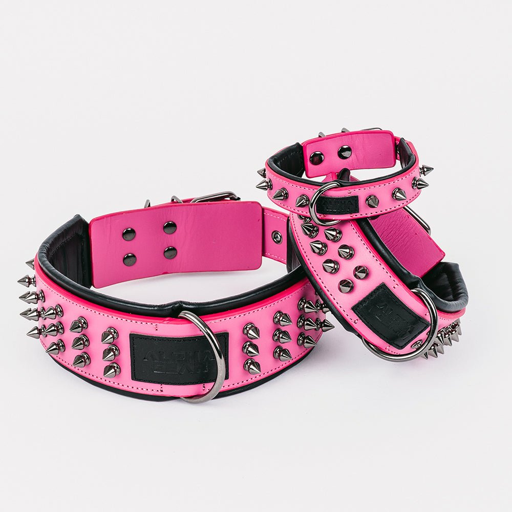 Leather Studded Dog Collar - 2XL - ALPHADOGDISTRIBUTION