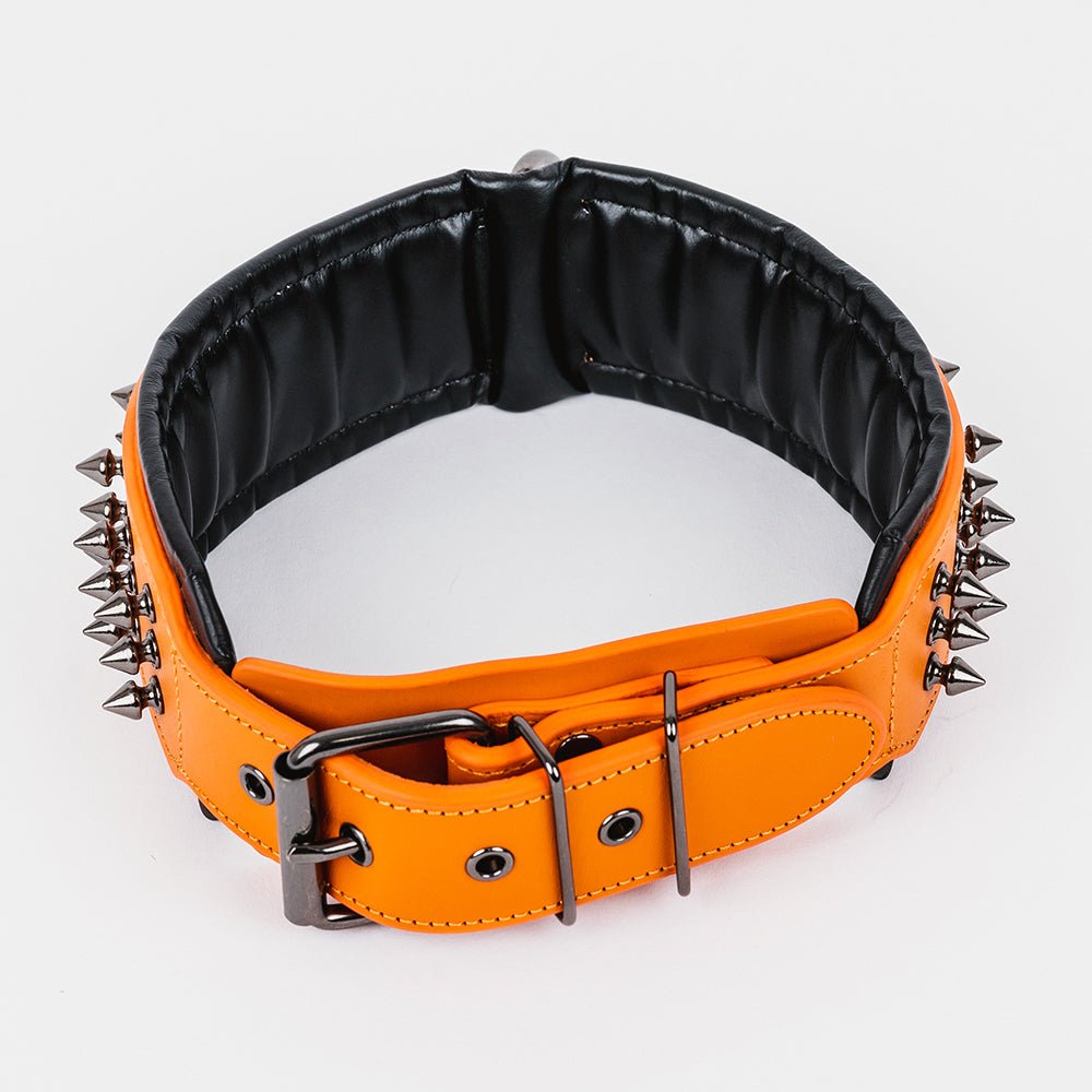 Leather Studded Dog Collar - 2XL - ALPHADOGDISTRIBUTION