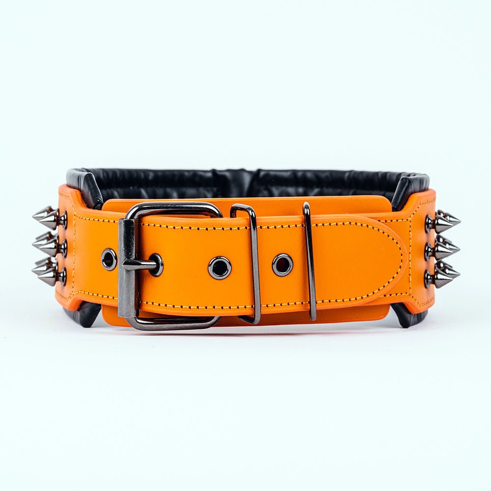 Leather Studded Dog Collar - 2XL - ALPHADOGDISTRIBUTION