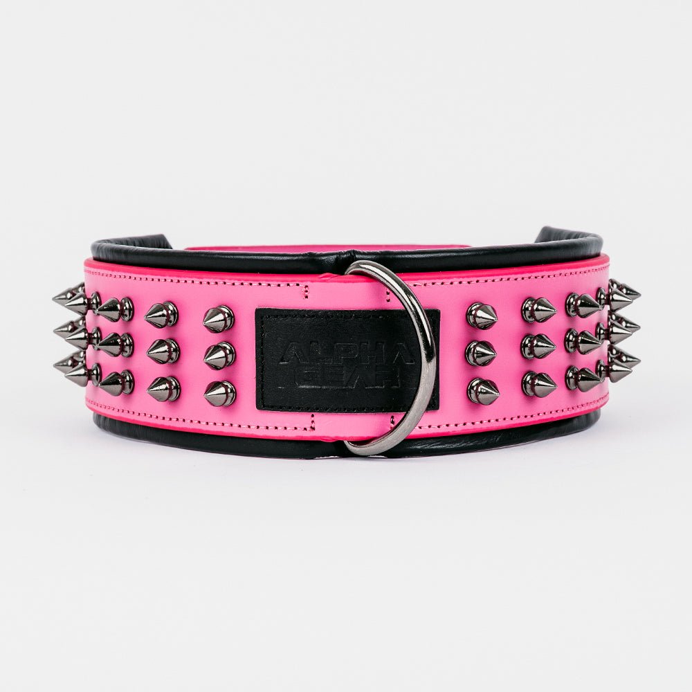 Leather Studded Dog Collar - 2XL - ALPHADOGDISTRIBUTION