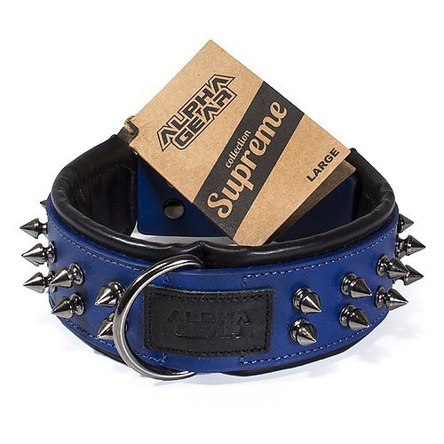 Leather Studded Dog Collar - Large - ALPHADOGDISTRIBUTION